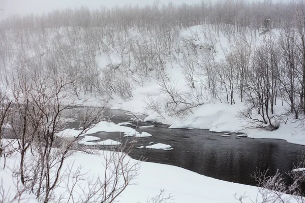 雪の冬の川 耳の中の木の枝 — ストック写真