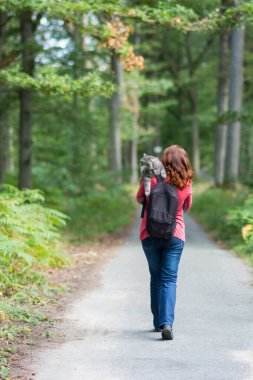 Orman parkında koşumlu gri Sibirya kedisiyle yürüyorum.