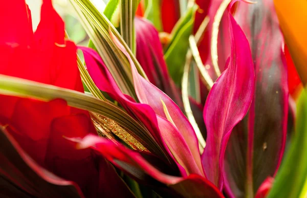 Buquê de belas flores diferentes, cacho de flores, posy — Fotografia de Stock