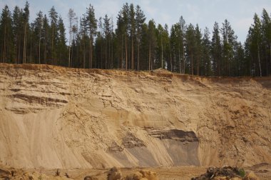 Kum kariyer, orman, açık döküm, kazma yakınındaki sandpit