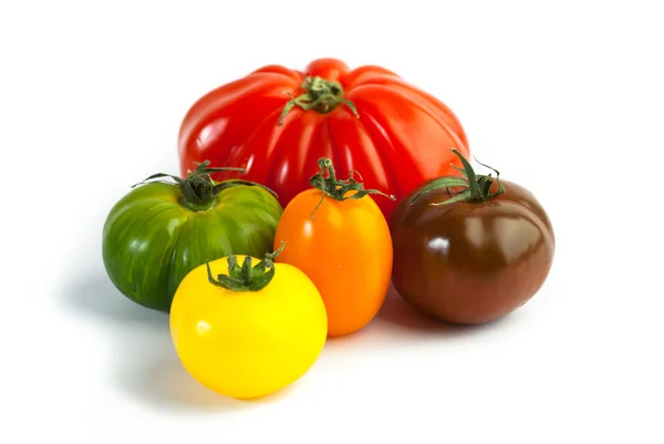 Verschiedene Farben Tomaten, Solanum lycopersicum — Stockfoto