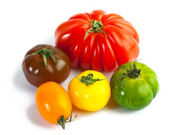 Verschiedene Farben Tomaten, Solanum lycopersicum — Stockfoto