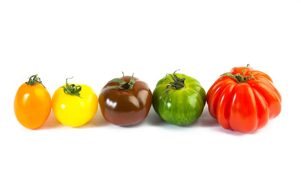 Verschiedene Farben Tomaten, Solanum lycopersicum — Stockfoto