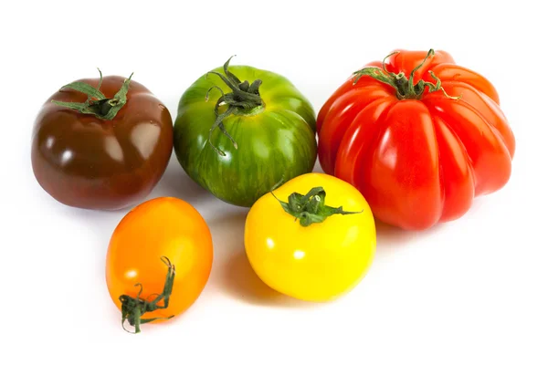 Verschiedene Farben Tomaten, Solanum lycopersicum — Stockfoto