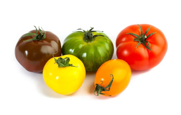 Farklı renkler domates, Solanum lycopersicum — Stok fotoğraf