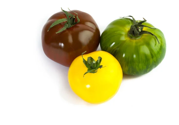 Verschiedene Farben Tomaten, Solanum lycopersicum — Stockfoto