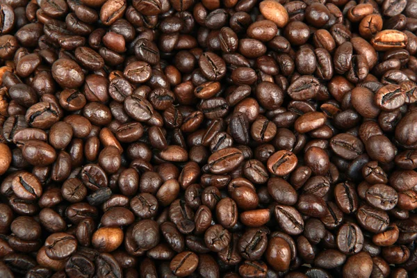 Kahve Çekirdekleri Beyaz Üzerine Izole — Stok fotoğraf