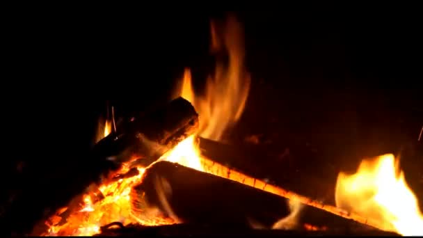 Brûler Bois Dans Cheminée — Video
