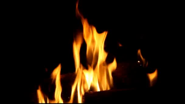 在壁炉里烧木柴 — 图库视频影像