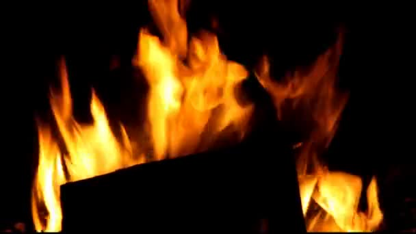 Brennendes Holz im Kamin — Stockvideo