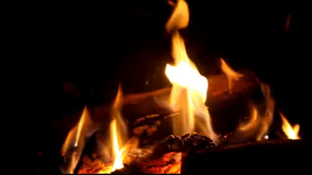 Burning Wood In The Fireplace — Stock Video