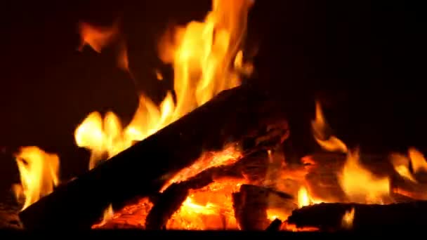 Burning Wood In The Fireplace — Stock Video