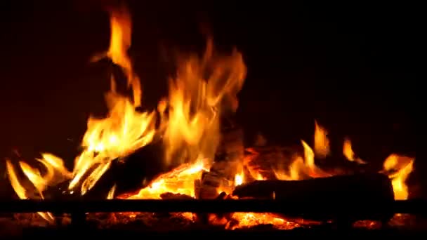 Burning Wood Fireplace — Stock Video