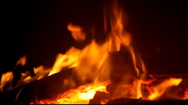 Burning Wood In The Fireplace — Stock Video