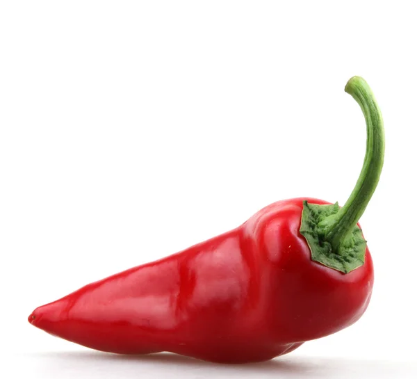 Red Pepper - Color Image — Stock Photo, Image