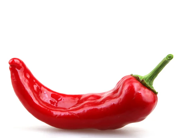 Röd paprika - färgbild — Stockfoto