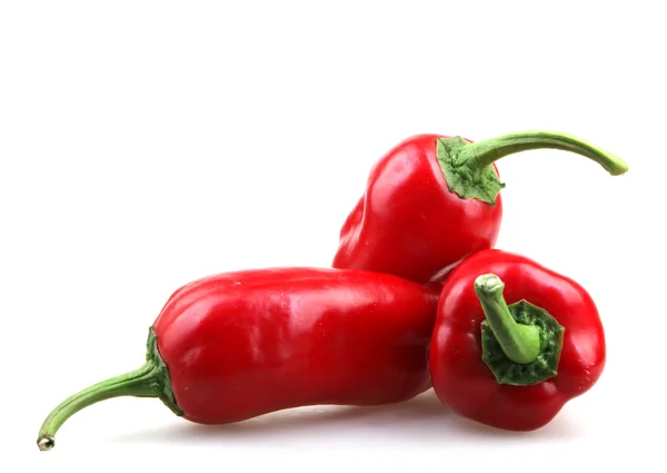 Red Pepper - Color Image — Stock Photo, Image