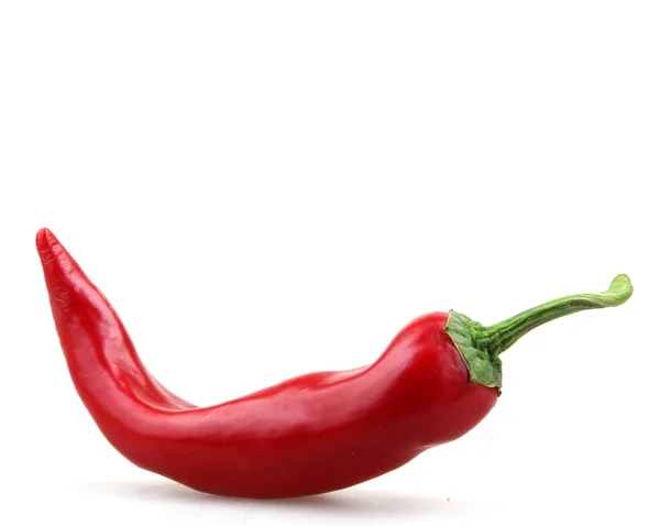 Röd paprika - färgbild — Stockfoto