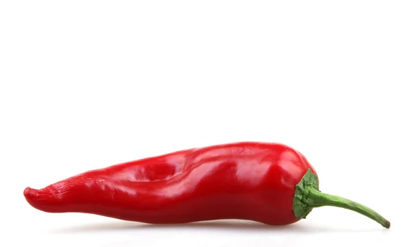 Röd paprika - färgbild — Stockfoto