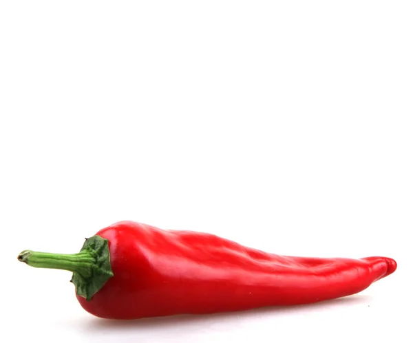 Red Pepper - Color Image Royalty Free Stock Photos