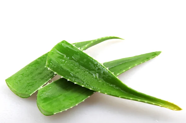 Aloe vera - imagem colorida — Fotografia de Stock