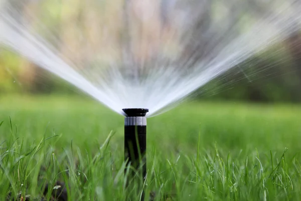 Spinkler im Garten - Farbbilder — Stockfoto