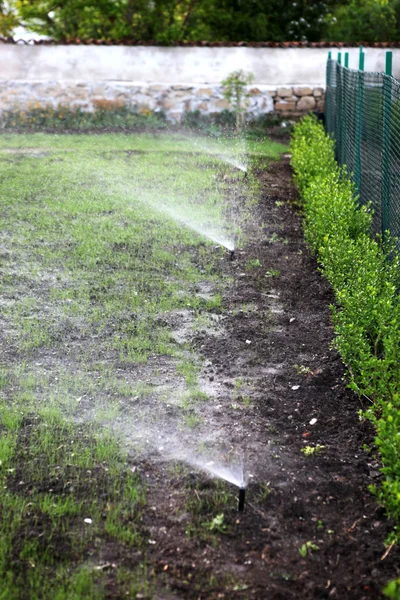 Spinkler Garten Farbbilder — Stockfoto