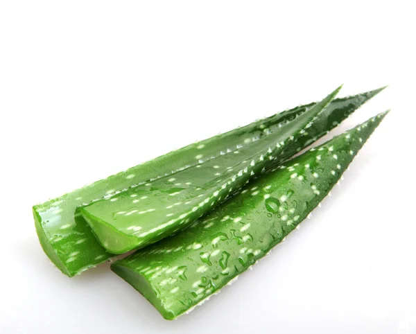 Aloe vera - imagem colorida — Fotografia de Stock