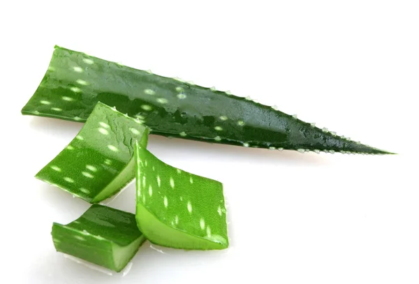 Aloe vera - imagen en color — Foto de Stock