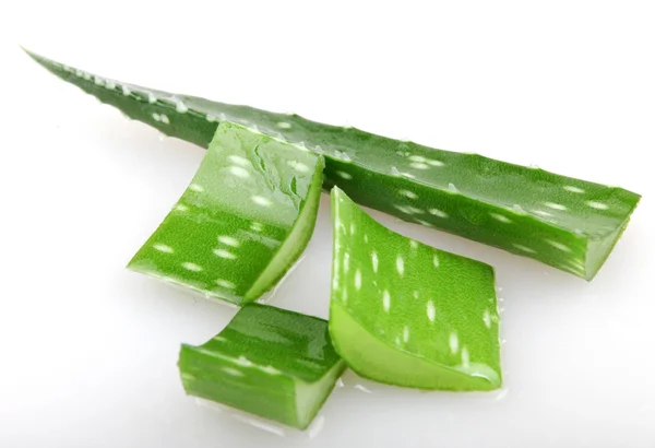 Aloe vera - έγχρωμη εικόνα — Φωτογραφία Αρχείου