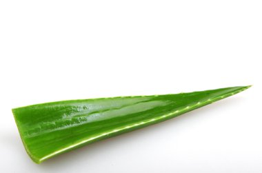 Aloe Vera tesisi - renkli görüntü