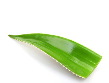 Aloe Vera tesisi - renkli görüntü