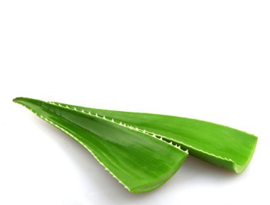 Aloe Vera tesisi - renkli görüntü