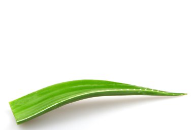 Aloe Vera tesisi - renkli görüntü