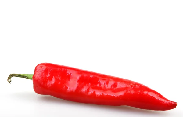 Röd paprika - färgbild — Stockfoto