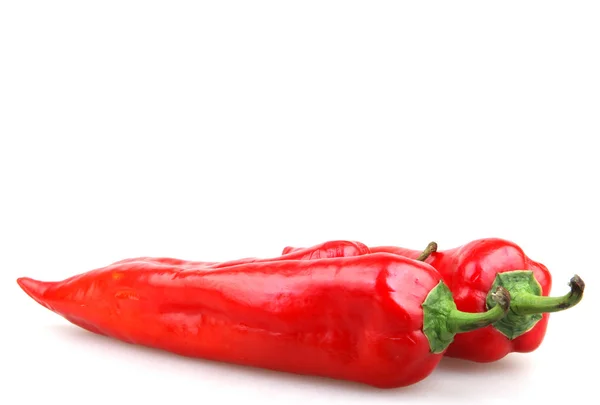 Röd paprika - färgbild — Stockfoto