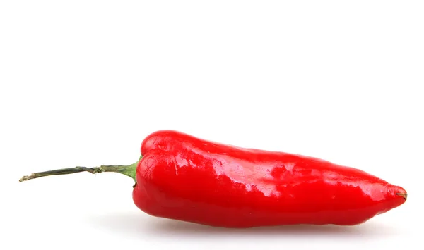 Κόκκινη πιπεριά - έγχρωμη εικόνα — Φωτογραφία Αρχείου