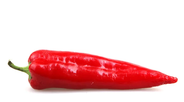 Röd paprika - färgbild — Stockfoto