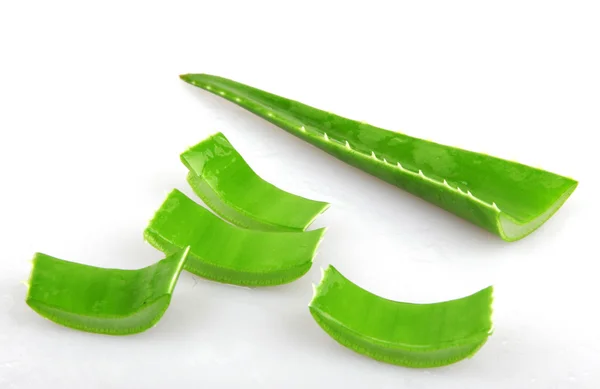 Aloe Vera Pflanze - Farbbild — Stockfoto