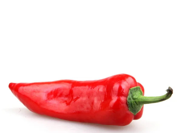 Röd paprika - färgbild — Stockfoto