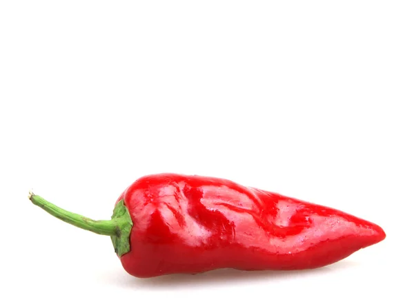 Red pepper - color image — Stock Photo, Image