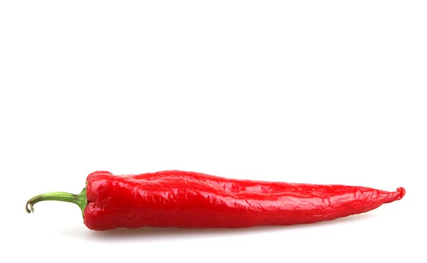 Röd paprika - färgbild — Stockfoto