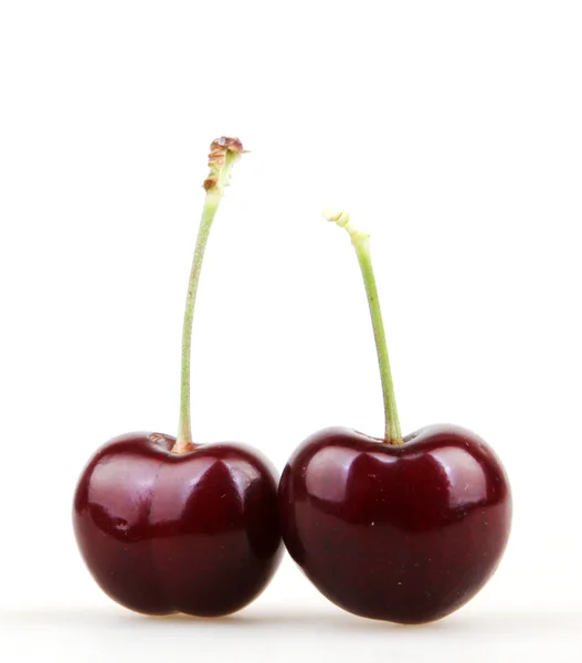 Cereza aislada sobre fondo blanco — Foto de Stock