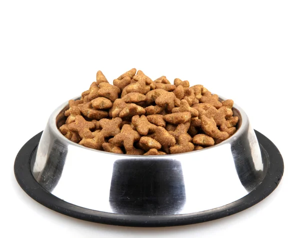 Cats and dogs dry food - Color image — Stock Photo, Image