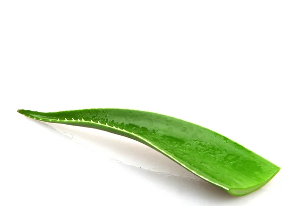 Aloe Vera Blatt mit Tropfen Wasser — Stockfoto © Nik ...
