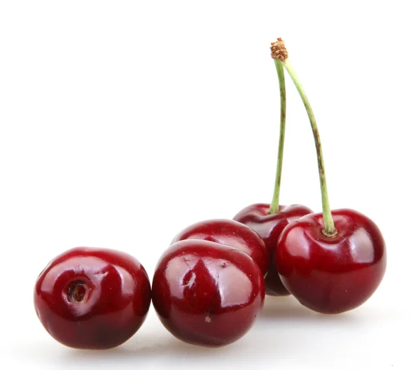 Cherry on a white background - color image — Stock Photo, Image