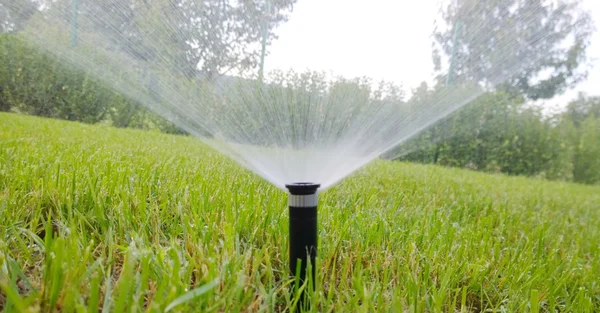 Sprinkler der automatischen Bewässerung - Farbbild — Stockfoto