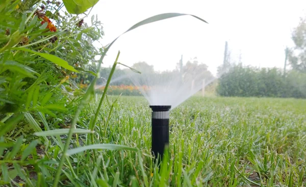 Sprinkler der automatischen Bewässerung - Farbbild — Stockfoto