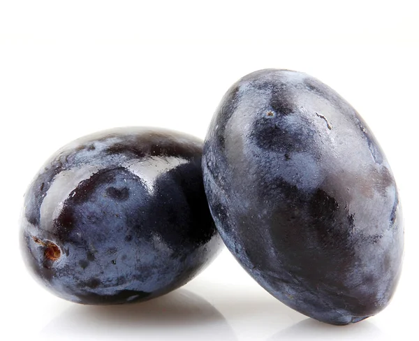 Plum isolated - color image — Stock Photo, Image