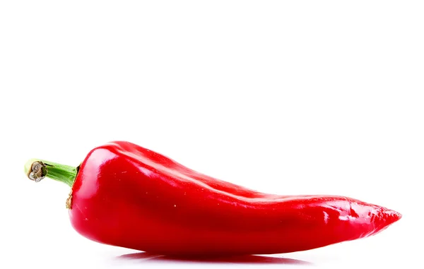 Rode peper - kleurenafbeelding — Stockfoto